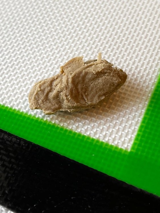 IMG_3751.thumb.jpeg.4fdb57dfb2e9087856bf2cc4dc3d2b73.jpeg