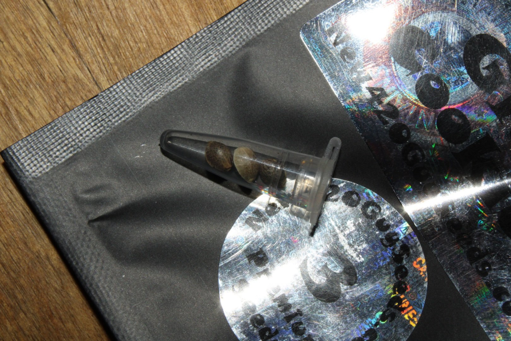 image.thumb.png.436a6cfb1f58a696c50c0bda25dd1275.png