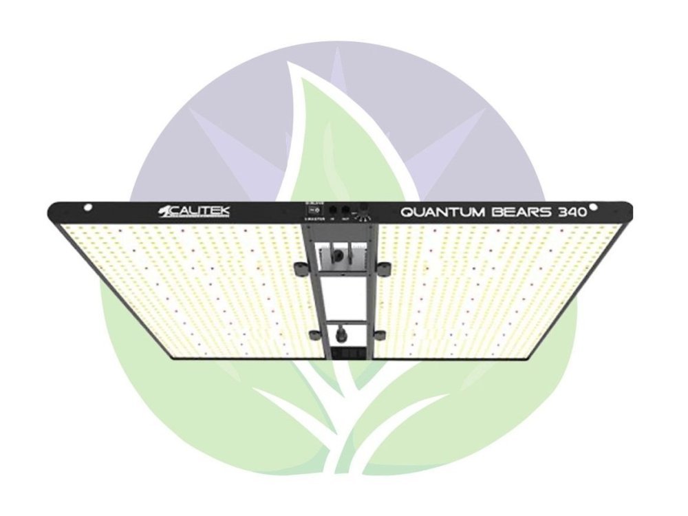 quantum-bears-340-w-horticultural-lighting-led-panels-calitek.thumb.jpg.f57c58b678c1f068e8d9a269685ddb76.jpg