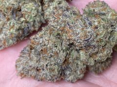 IMG_3042.jpeg