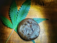 Extractions