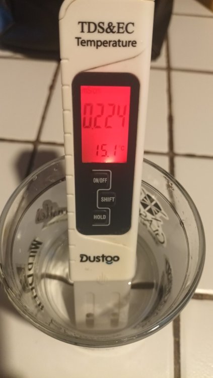 20240208_114328.thumb.jpg.7990966d1355adc7d958892cecddc5b8.jpg