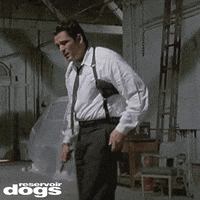 IMG_5016.gif.db5aa9c7b9bebeceb50a9a87802e3487.gif