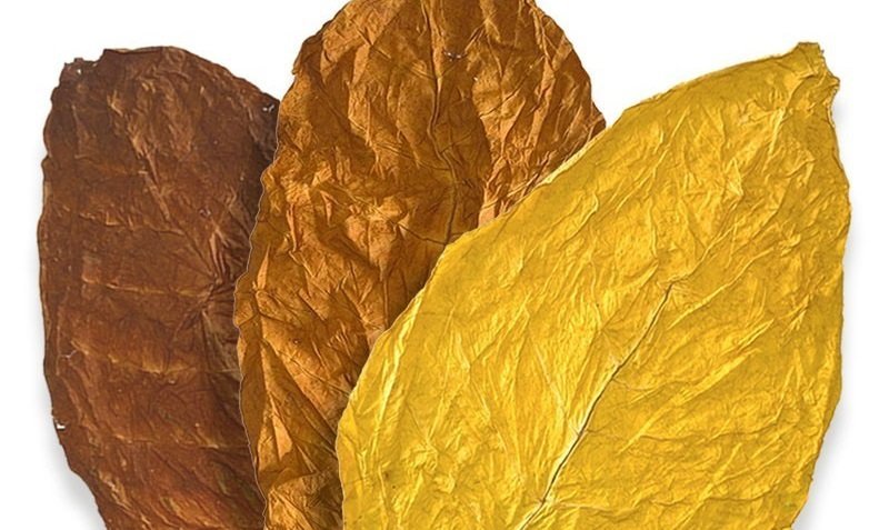 melange-american-flush-de-feuilles-de-tabac.jpg.187af36d36fa56959d4410ddf03ee3d4.jpg