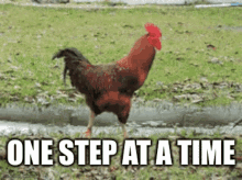 onestep-onesmallstep.gif.f4f10b0ce8c664d3421c44451933d440.gif