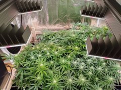 changement de LEDs