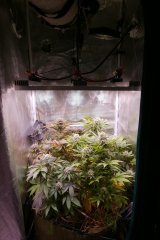 1212 +45 setup.JPG