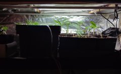 IMG_20230914_012427.jpg