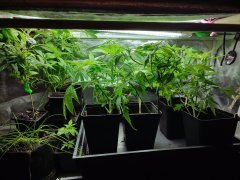 IMG_20231206_003942.jpg