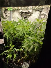 IMG_20231216_215508.jpg