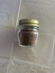 IMG_4262.jpeg