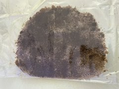 IMG_4268.jpeg