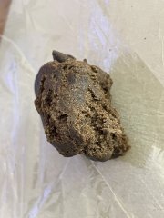 IMG_4273.jpeg