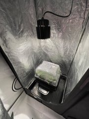 IMG_4347.jpeg