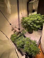 IMG_4402.jpeg