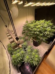 IMG_4464.jpeg