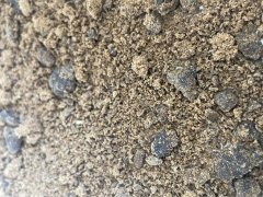 IMG_4485.jpeg