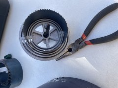 IMG_4490.jpeg