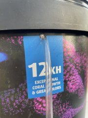 IMG_4501.jpeg