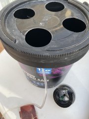 IMG_4502.jpeg