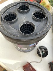 IMG_4503.jpeg