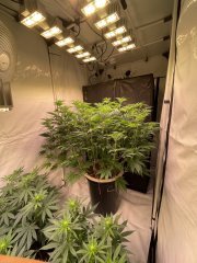 IMG_4513.jpeg