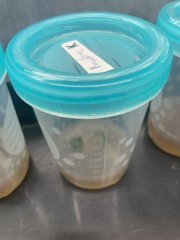 In vitro - Kinetin