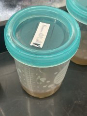 In vitro - Kinetin