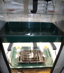 IMG_4567.jpg