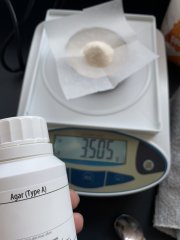 Agar