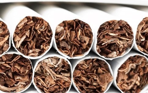 villiger-so-what-makes-a-cigarillo-difference-from-a-cigarette-bild3_big_2x.jpg.69623007ab8a8c794f064871b7c5402c.jpg