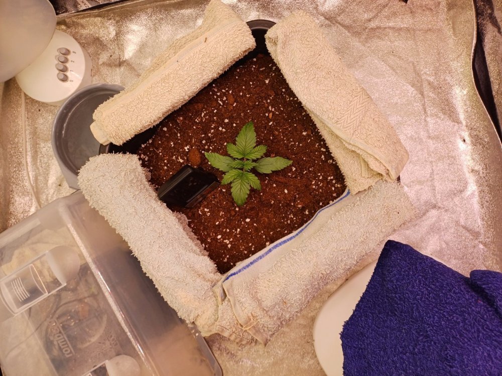 20240325_201804.jpg