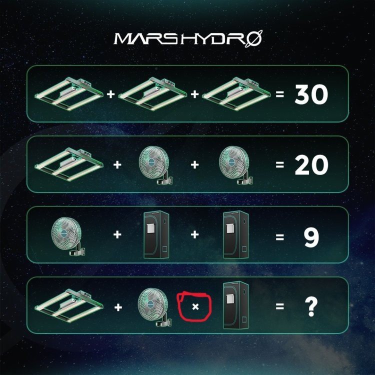amars.jpg.872cc6a8d2665ee350f60d444ba9a4c8.jpg