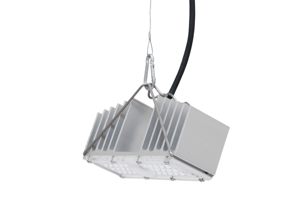 q1w-hanging-tilted-side-nobg-4014561678.thumb.png.8863cacb395d3b57bccfd853793b034a.png