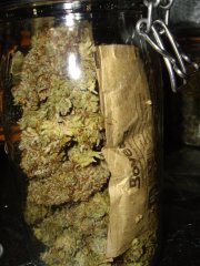Sour Ripper