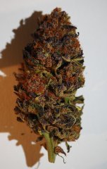 IMG_3858.jpeg