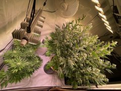 IMG_4854.jpeg