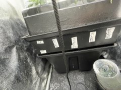 IMG_5473.jpeg