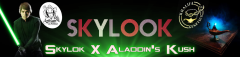 skylook