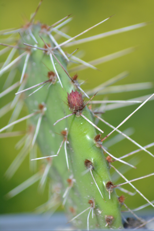 Image 14.png