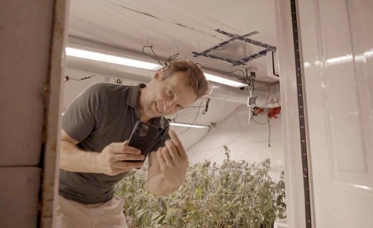 1640261009_CANNABIS7_preview_2300.jpg.5c7826f5126a437eb255ee8ad2e6b2a2.jpg