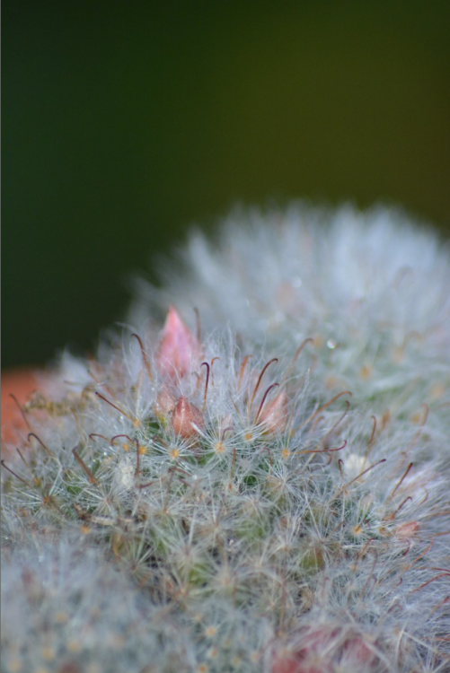 Image 13.png