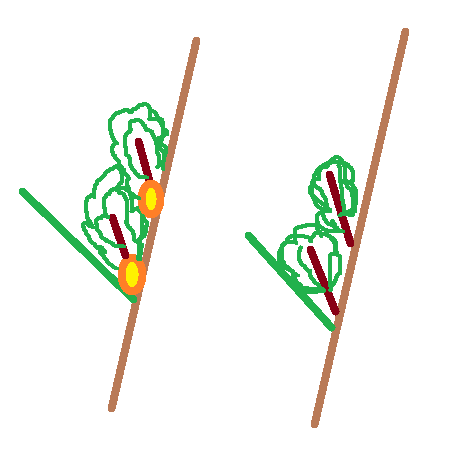 568548670_cotileydonvirerpourlepassagedelair.png.c47f7dc5131059afdef0efff57bb0f16.png