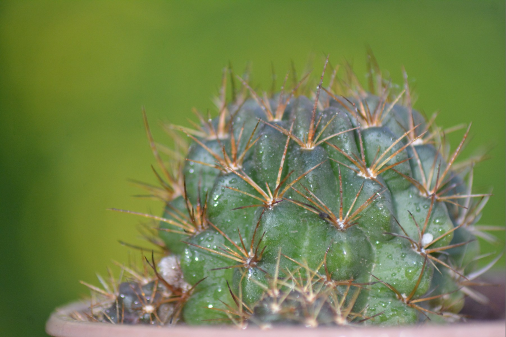Image 12.png