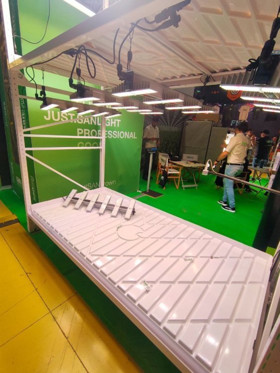 IMG20240315123345.thumb.jpg.5e851e03c28f0145ae45e95bf2f23c21.jpg