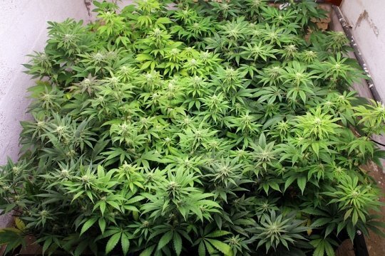 batch_IMG_9818.jpg.580c025083f1f9103ebd3cae3ab4db2c.jpg.75517db93afb69a67b84c1e0834477f1.jpg
