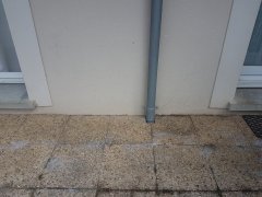 20240421_114956.jpg