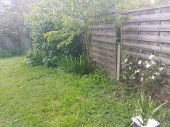 20240421_115017.jpg