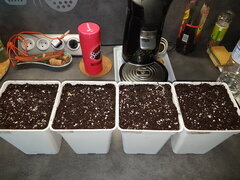20240429_090651.jpg