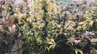 GIF-240421_090031.gif